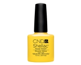 CND- Shellac Bicycle Yellow