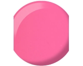 DND - 720 Gumball