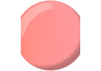DND- 724 Jiggles