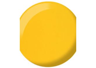 DND- 746 Butter Corn