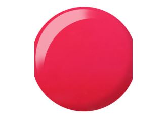DND- 817 Circus Chic